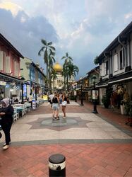 Kampong Glam Conservation Area (D7), Shop House #558533191